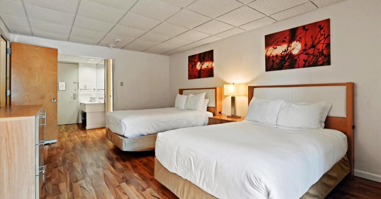 Mountain Laurel Resort White Haven Kültér fotó