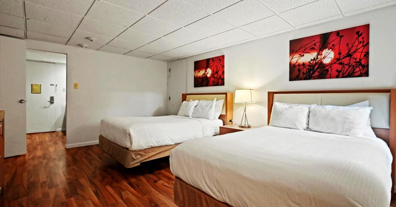 Mountain Laurel Resort White Haven Kültér fotó